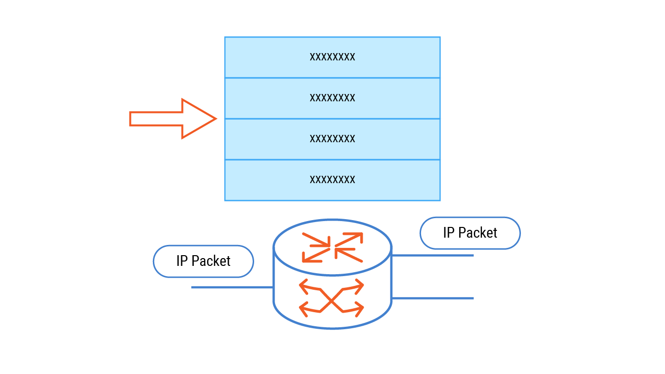 MPLS IP packet